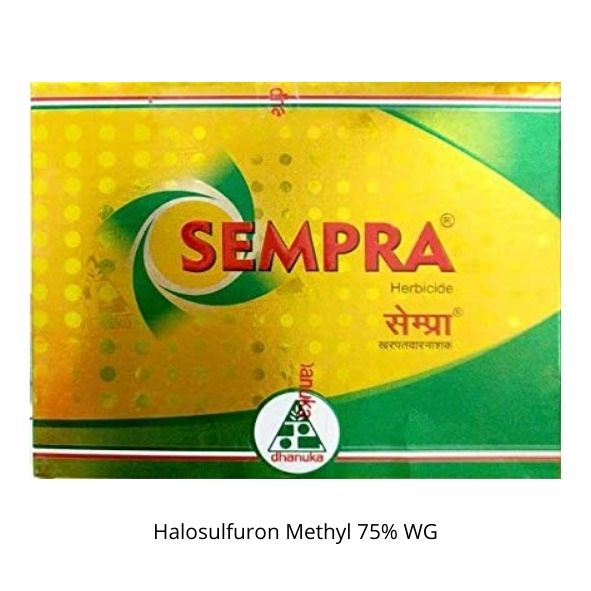 Sempra Herbicide (36 Gram * 2 Pieces)